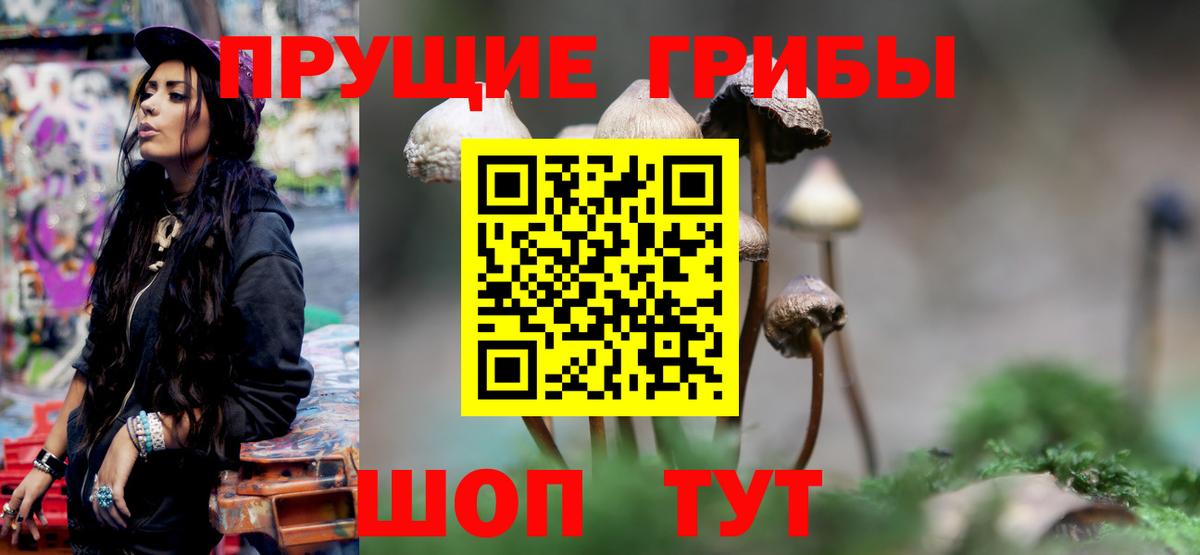 Псилоцибиновые грибы Cubensis Апрелевка